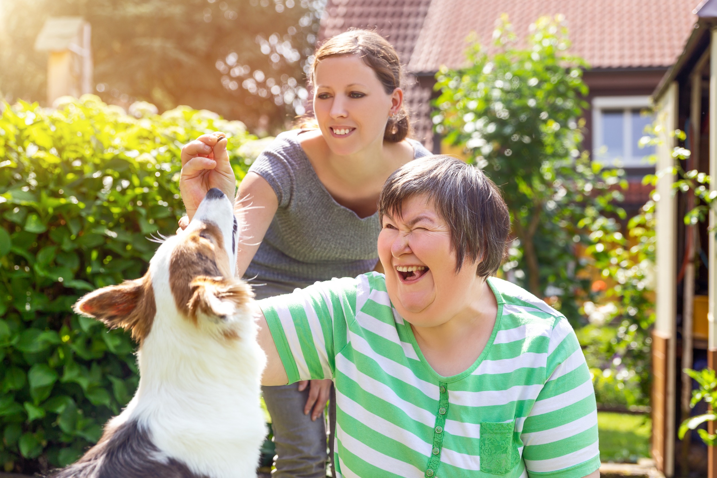 mentally disabled woman with a second woman and a companion dog, concept learning by animal assisted living